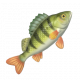 河鱸-icon.png
