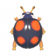四星瓢蟲-icon.png