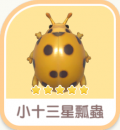 小十三星瓢蟲