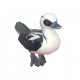 白秋沙鴨-icon.png