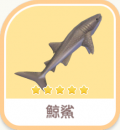 鯨鯊