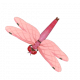 薔薇蜻蜓-icon.png