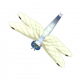 白尾蜻蜓-icon.png