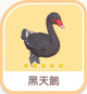 黑天鵝-icon.png