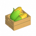 玉米