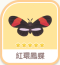 紅環鳳蝶