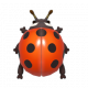 七星瓢蟲-icon.png