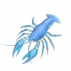藍色北歐螯蝦-icon.png