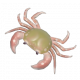 溪蟹-icon.png