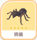 螞蟻