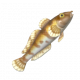 蝦虎魚-icon.png