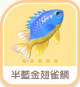半藍金翅雀鯛-icon.png