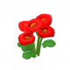 馬蹄蓮-icon.png