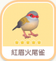紅眉火尾雀-icon.png