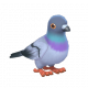 歐鴿-icon.png