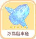 冰晶翻車魚