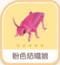 粉色紡織娘