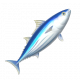 鰹魚-icon.png