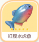 紅腹水虎魚-icon.png