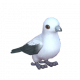 斑皇鳩-icon.png