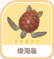綠海龜-icon.png
