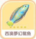 西澳夢幻龍魚