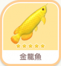 金龍魚
