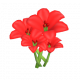 百合-icon.png
