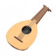 魯特琴-icon.png