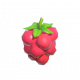 樹莓-icon.png
