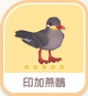 印加燕鷗-icon.png