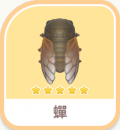 蟬