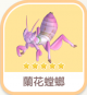 蘭花螳螂-icon.png