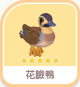 花臉鴨-icon.png