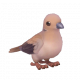 灰斑鳩-icon.png