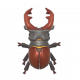 深山鍬形蟲-icon.png