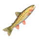 大馬哈魚-icon.png