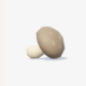 香菇-icon.png
