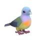 紅頸綠鳩-icon.png