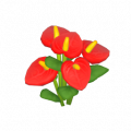 花燭