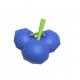 藍莓-icon.png