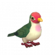 粉頭果鳩-icon.png