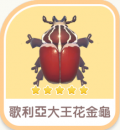 歌利亞大王花金龜