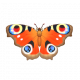 孔雀蛺蝶-icon.png
