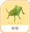 蟈蟈