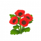 虞美人-icon.png