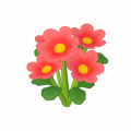 雛菊