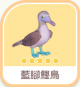 藍腳鰹鳥-icon.png