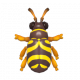 黃蜂虎天牛-icon.png
