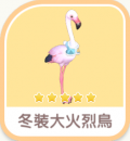 冬裝大火烈鳥